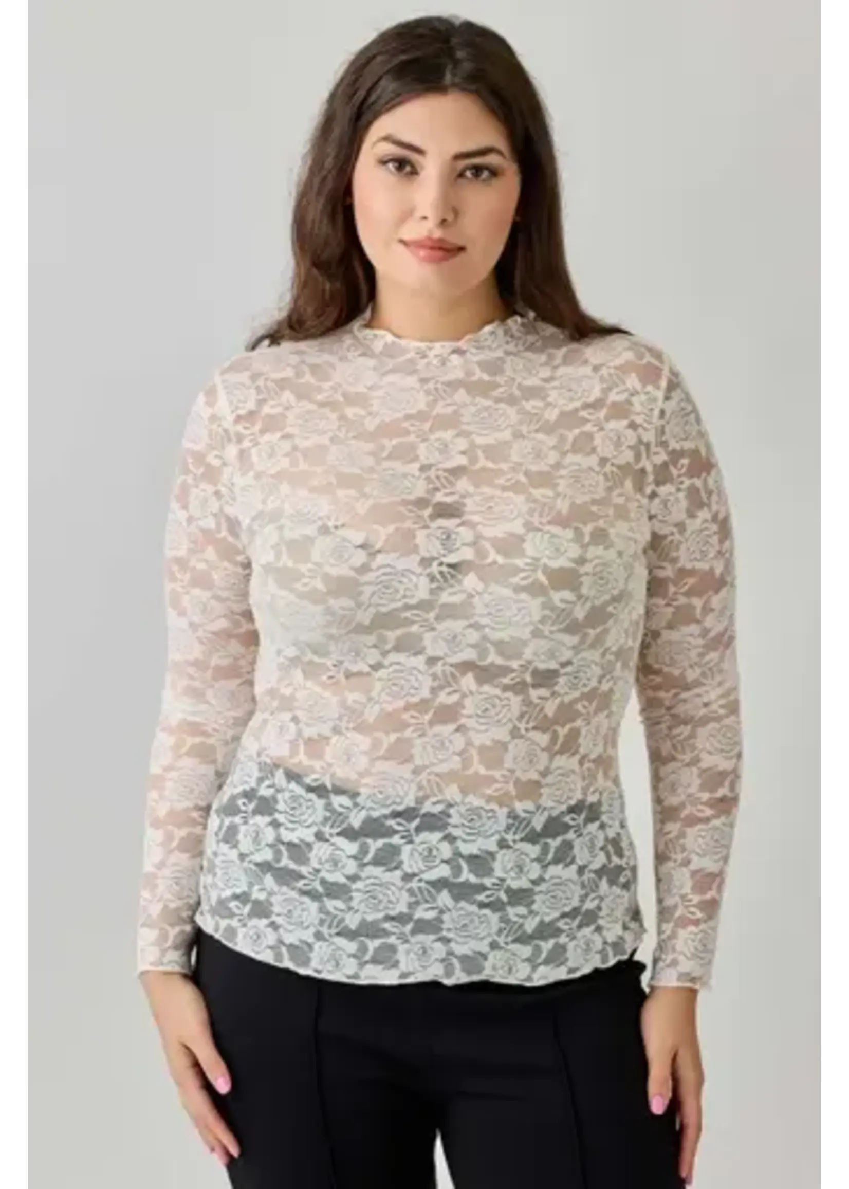 Floral Sheer Lace Long Sleeve