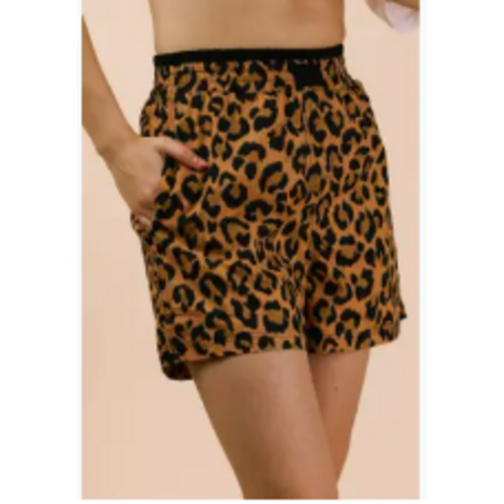 Leopard Boxers