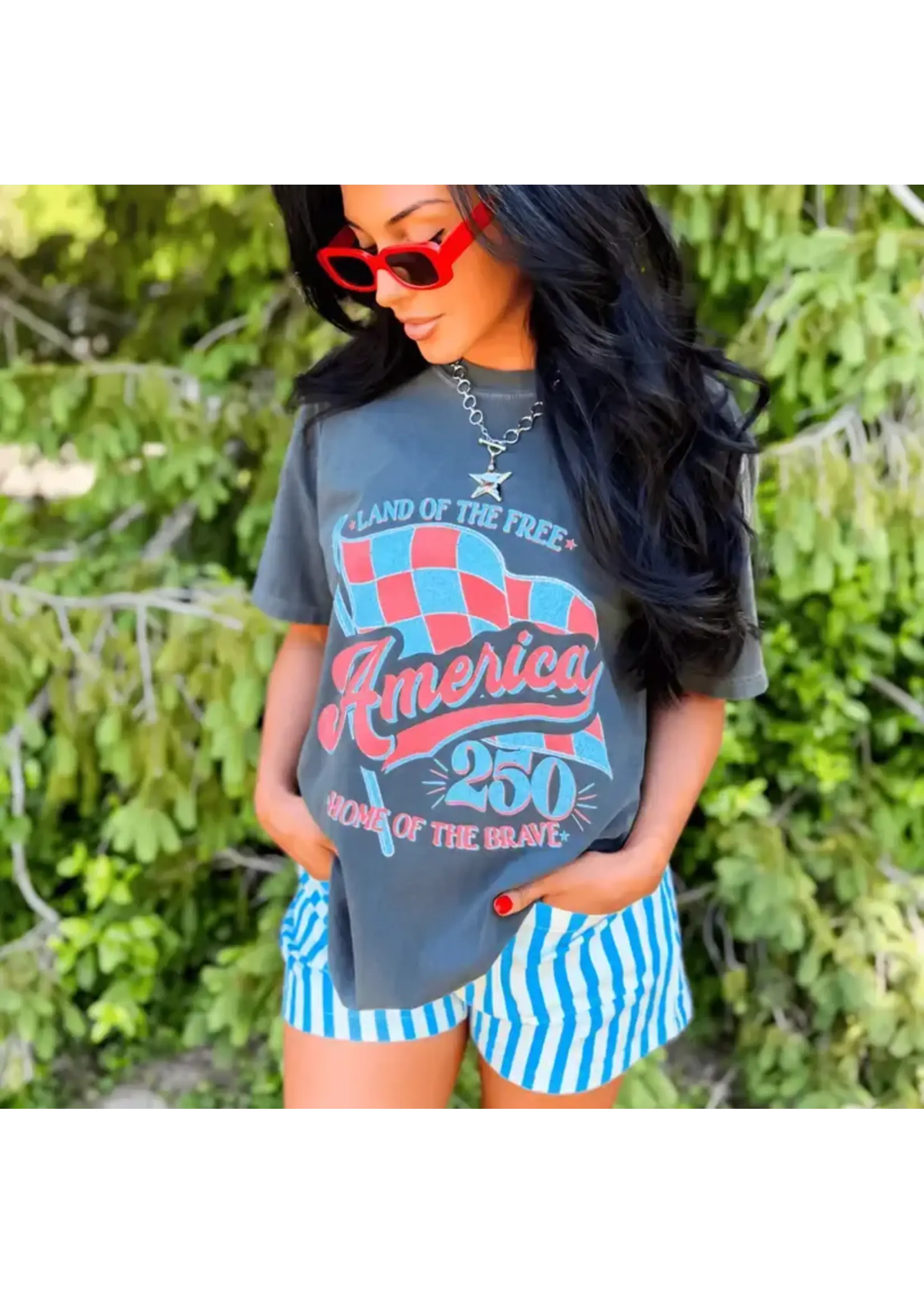 America's 250th T-Shirt