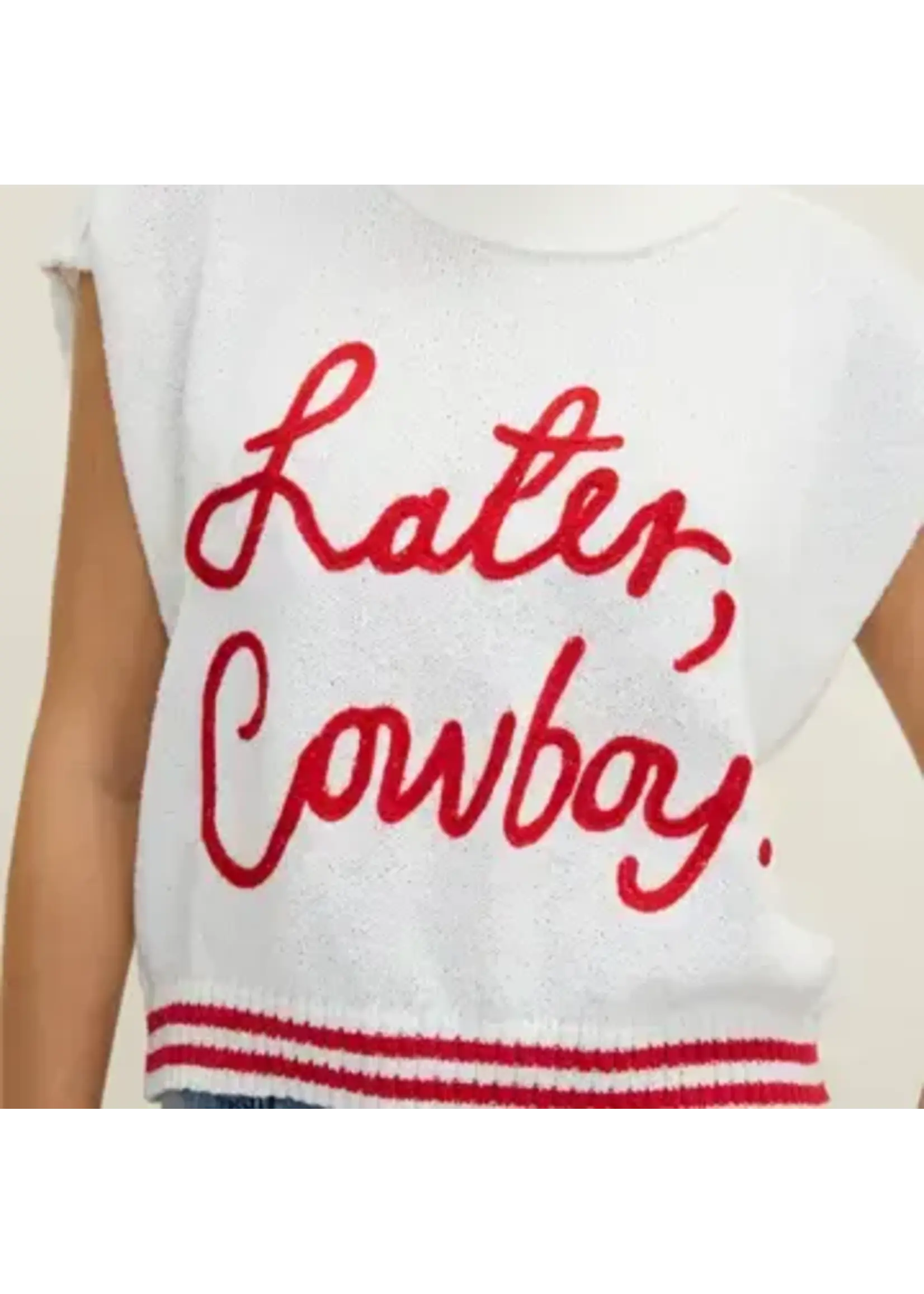 Later Cowboy Sweater Knit Top