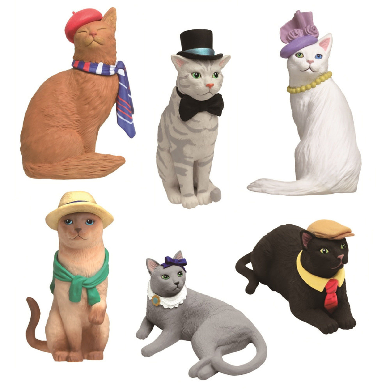 Fancy Hat Cat and Announcement! - Summer's Fabulous Cat Life