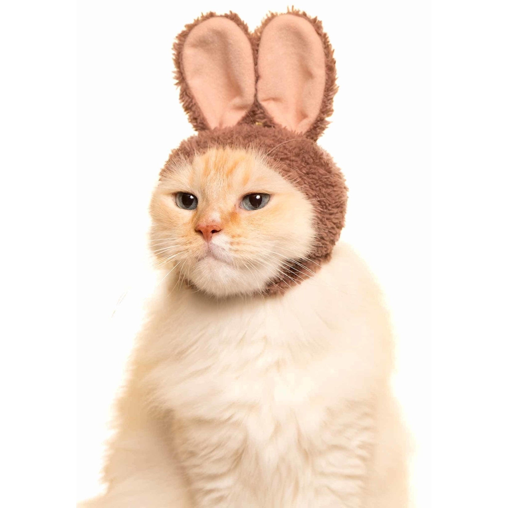 Kitan Club Blind Box - Kitan Club - Cat Cap (Rabbit) KC-025