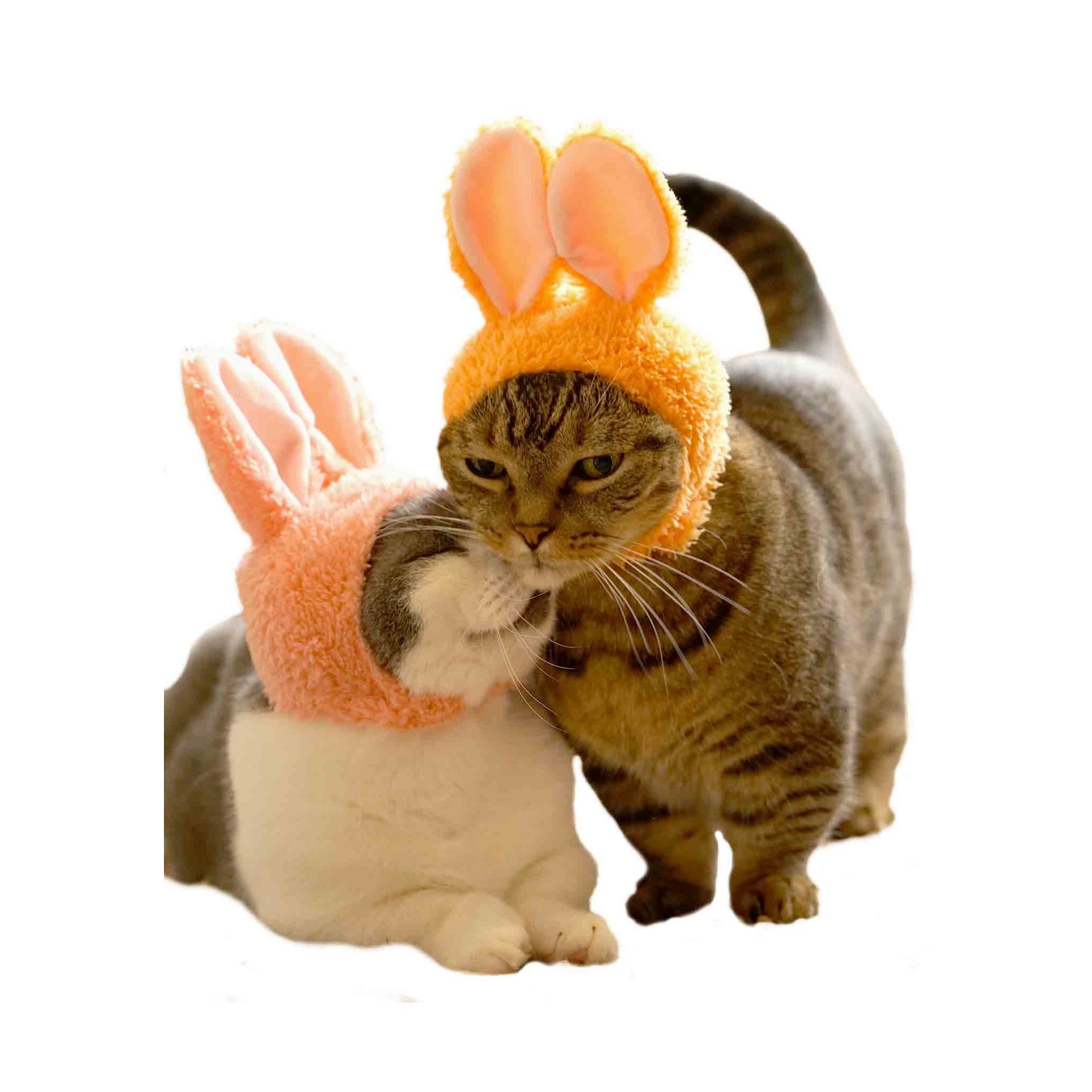 Kitan Club Blind Box - Kitan Club - Cat Cap (Rabbit) KC-025