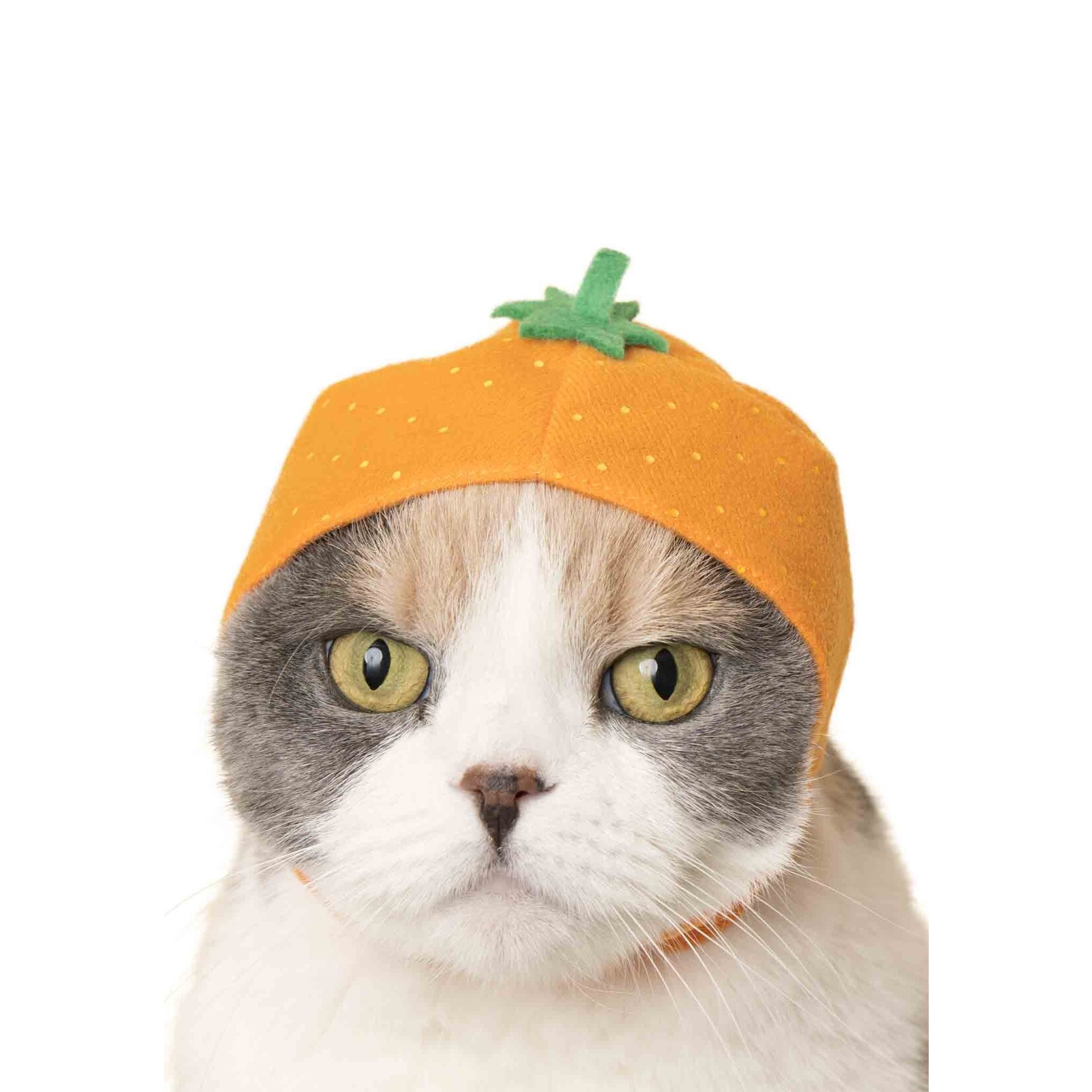 Kitan Club Blind Box - Kitan Club - Cat Cap ( Fruit) KC-036