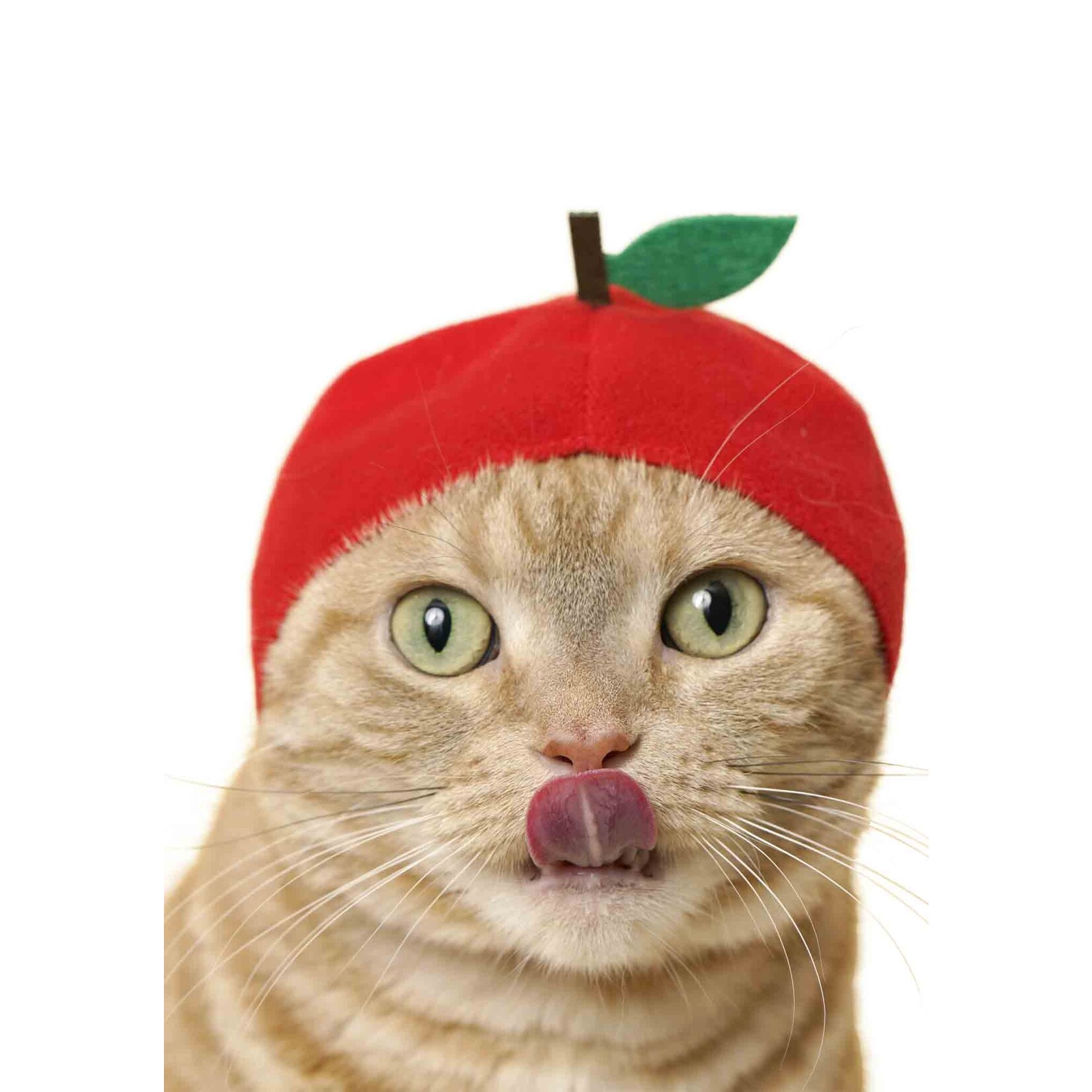 https://cdn.shoplightspeed.com/shops/649365/files/55788113/1652x1652x2/kitan-club-blind-box-kitan-club-cat-cap-fruit-kc-0.jpg