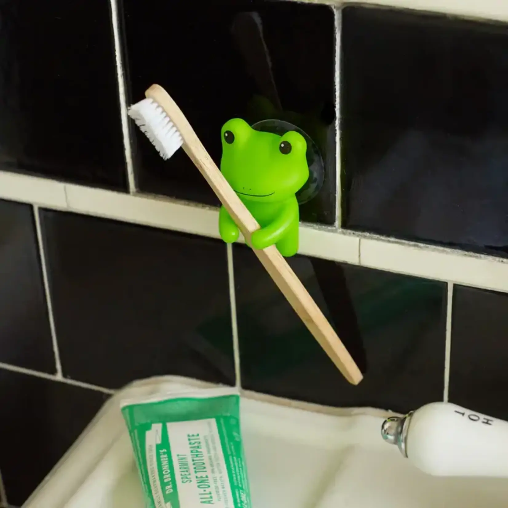 Toothbrush Holder - Frog HH58