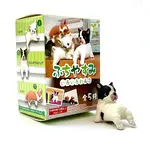 YELL Blind Box - Playful Hanging Dogs 70727