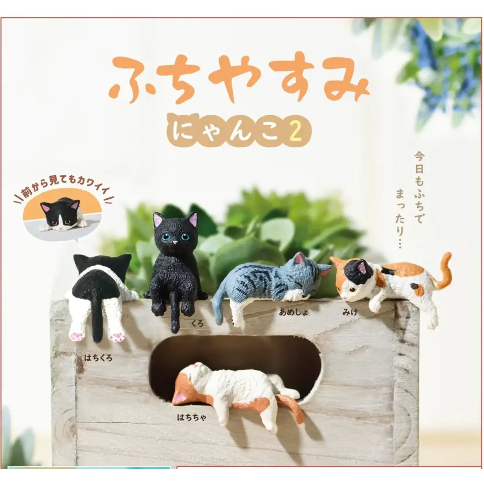YELL Blind Box - Resting Cats 70785