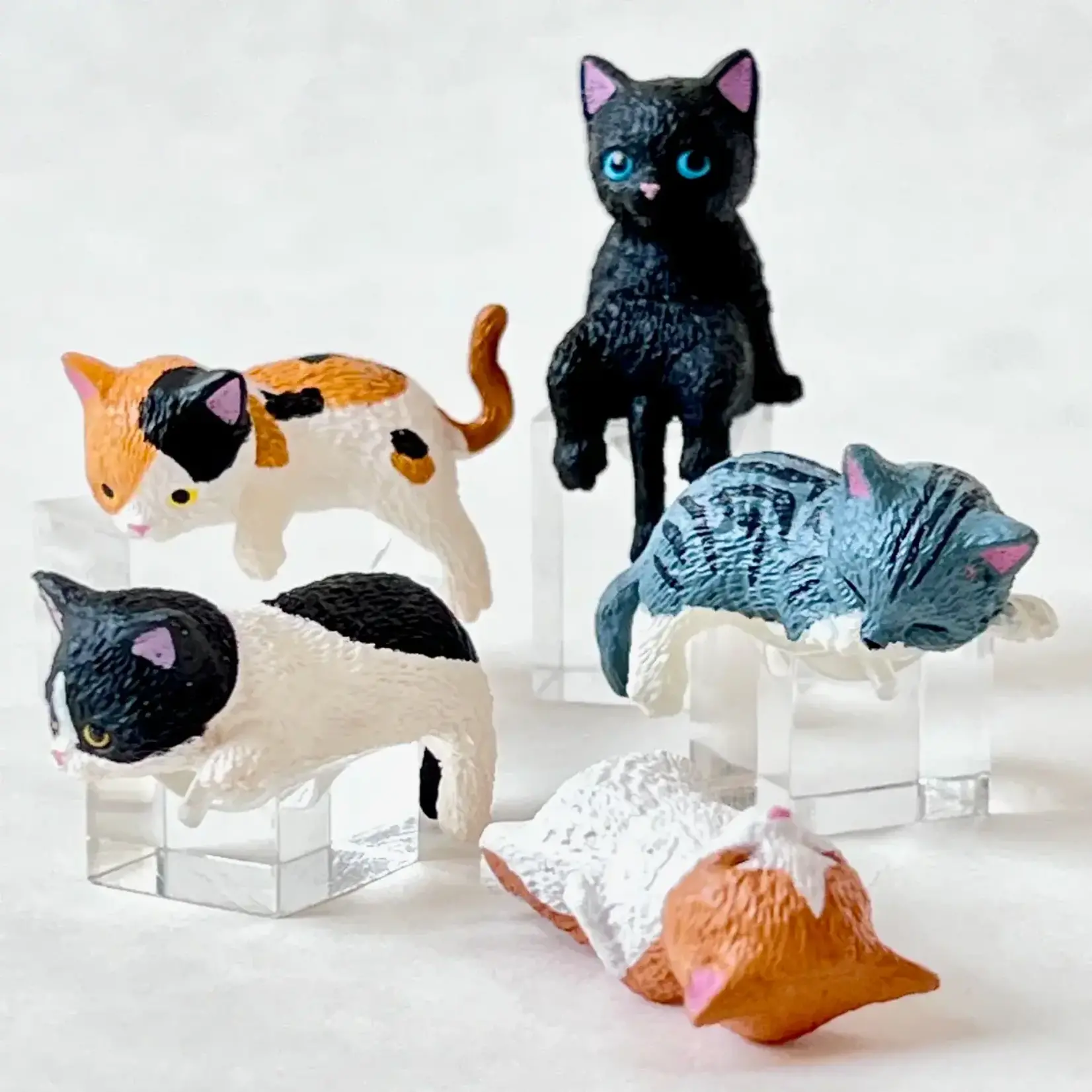 YELL Blind Box - Resting Cats 70785