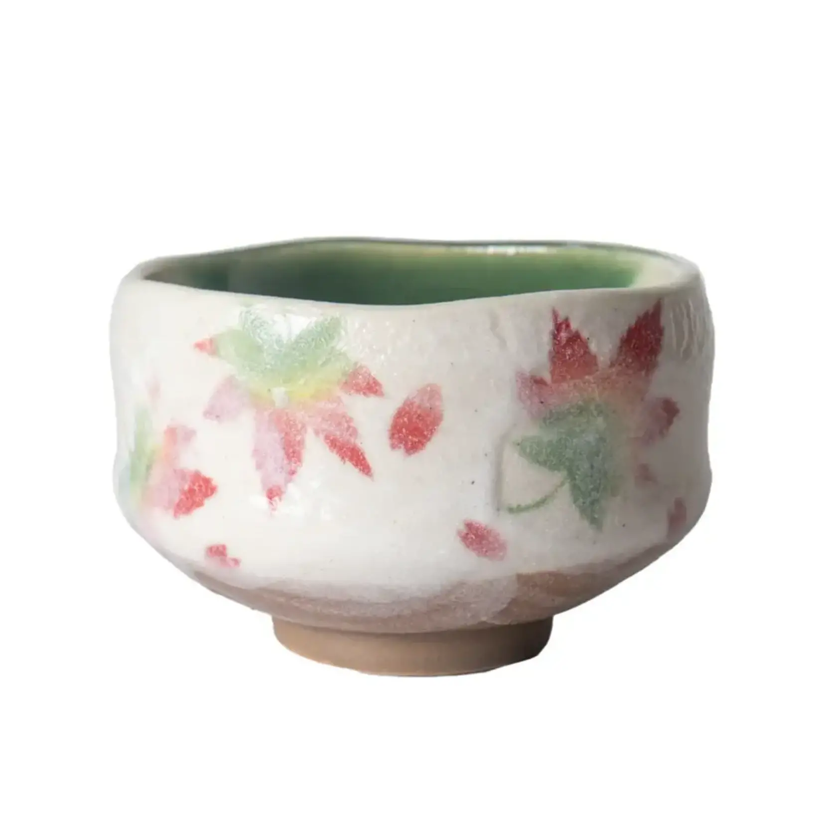 Matcha-wan Momiji Japanese Maple - Mini 8oz MCB375-MOM