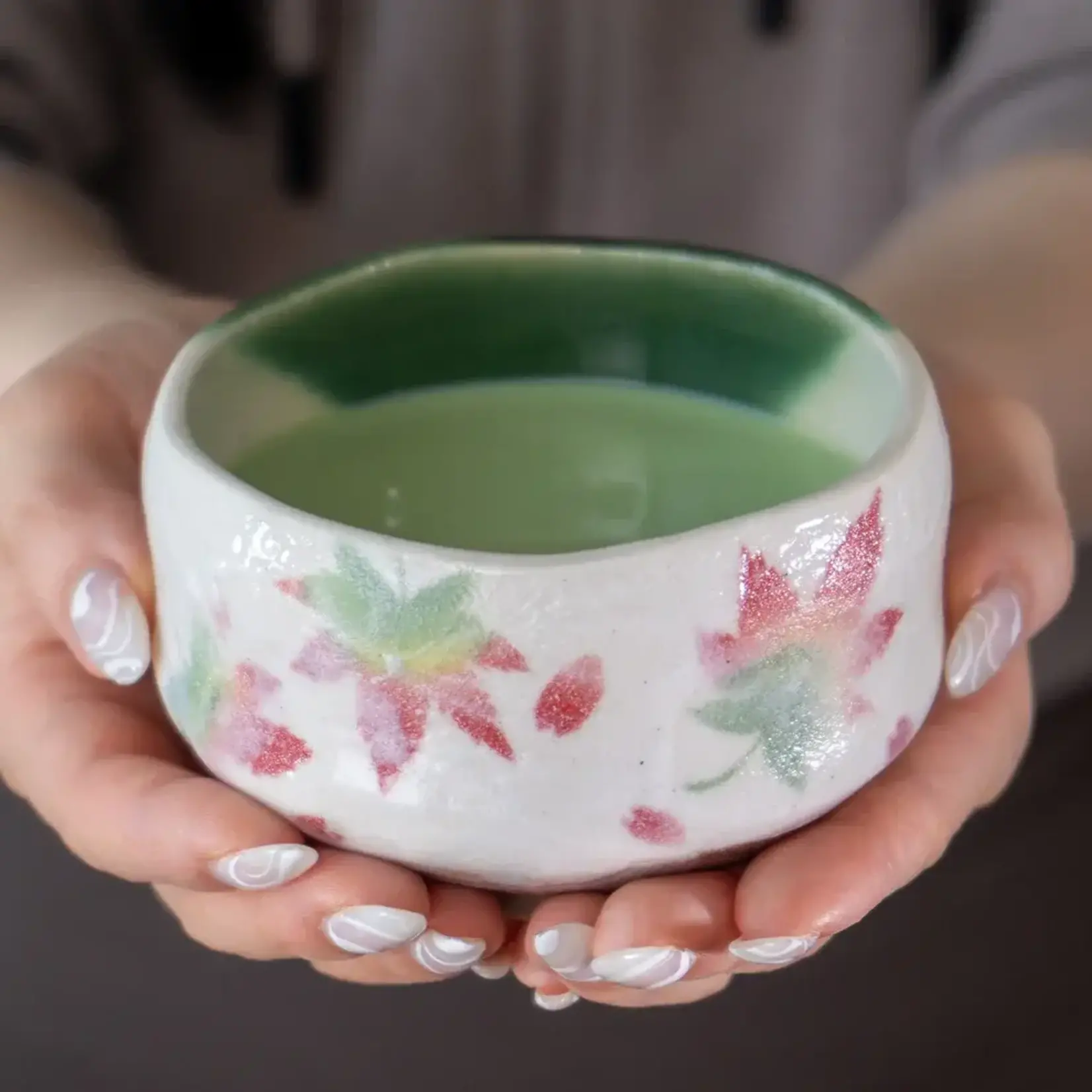 Matcha-wan Momiji Japanese Maple - Mini 8oz MCB375-MOM