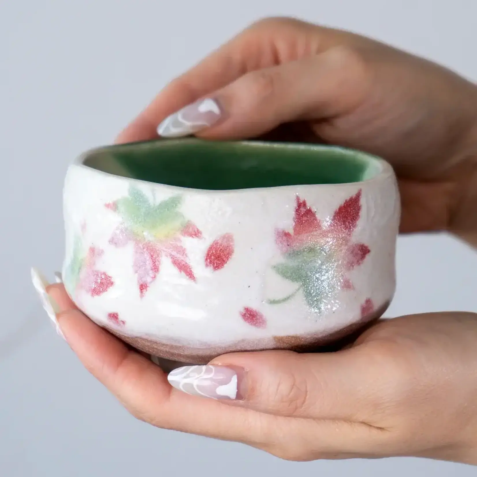 Matcha-wan Momiji Japanese Maple - Mini 8oz MCB375-MOM