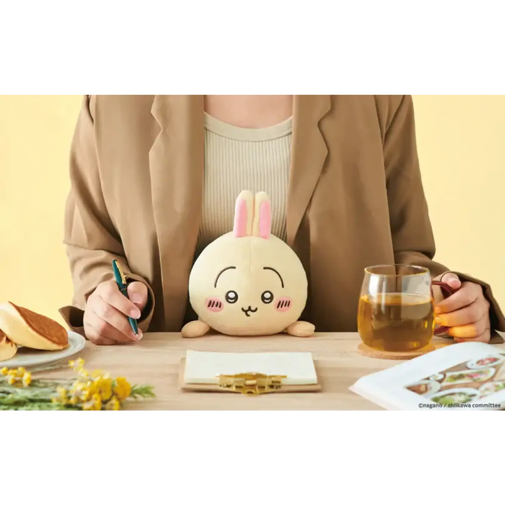 Dreams Posture Pal - Chiikawa -