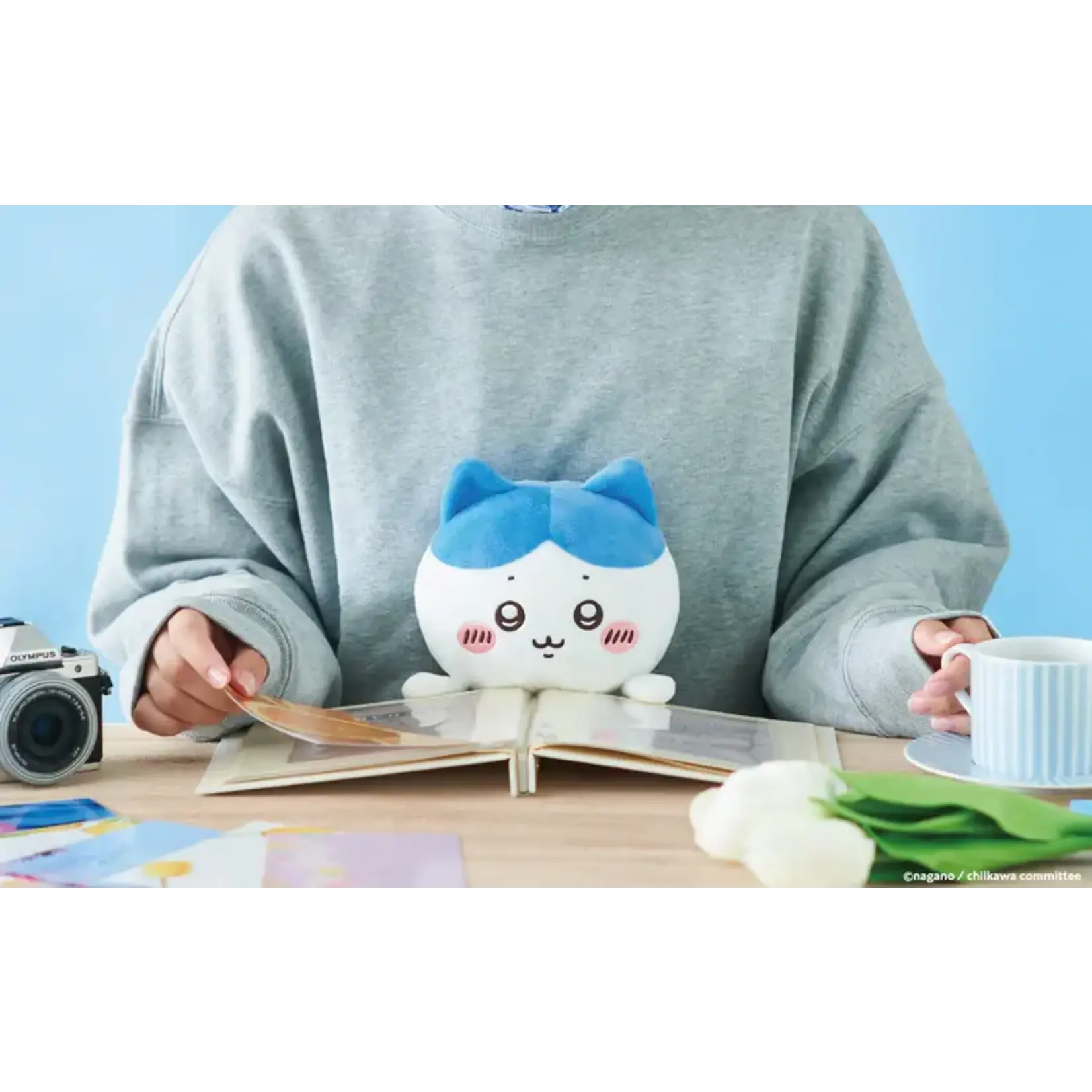 Dreams Posture Pal - Chiikawa -