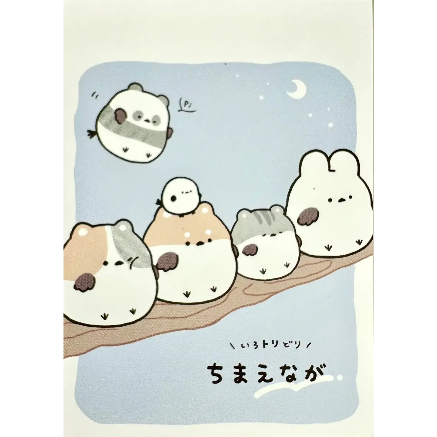Crux Sparrow Mini Notepads - 114552