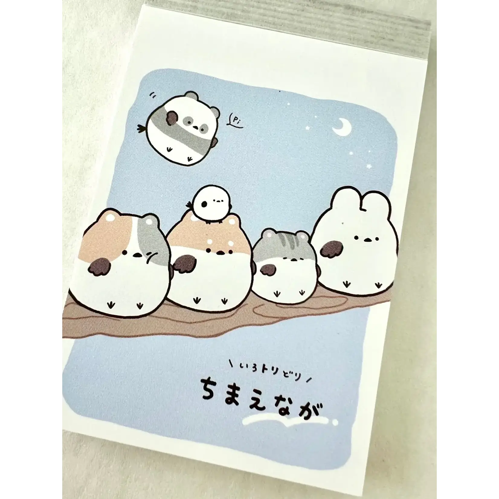 Crux Sparrow Mini Notepads - 114552