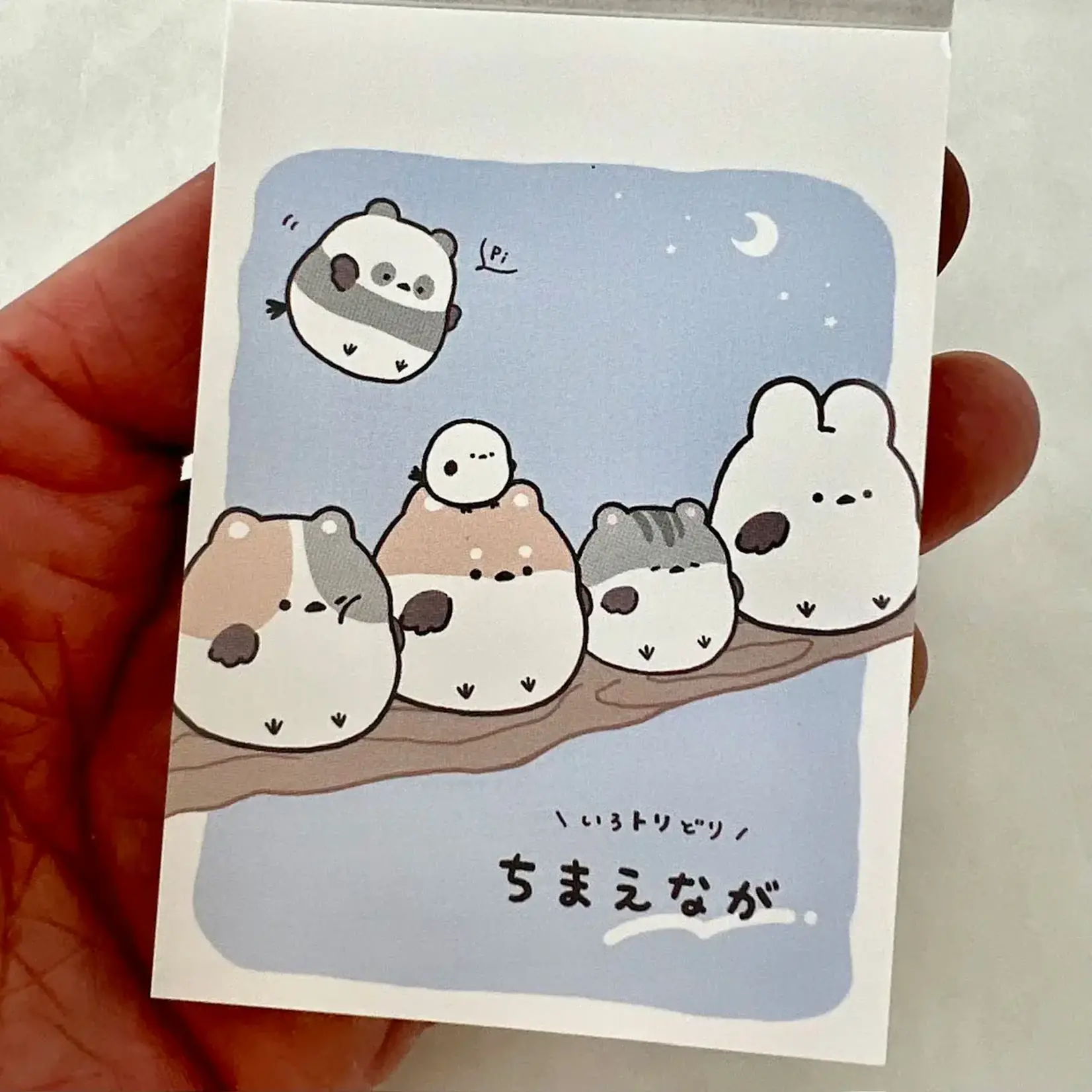 Crux Sparrow Mini Notepads - 114552