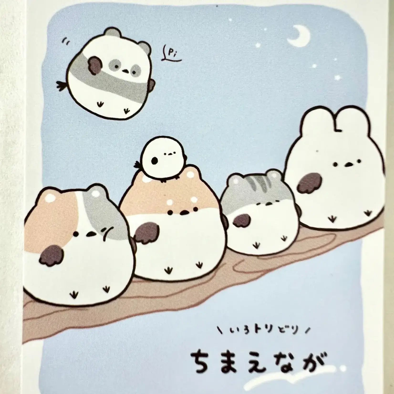 Crux Sparrow Mini Notepads - 114552
