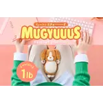 Dreams MUGYUUUS - Weighted Cuddle Toy -