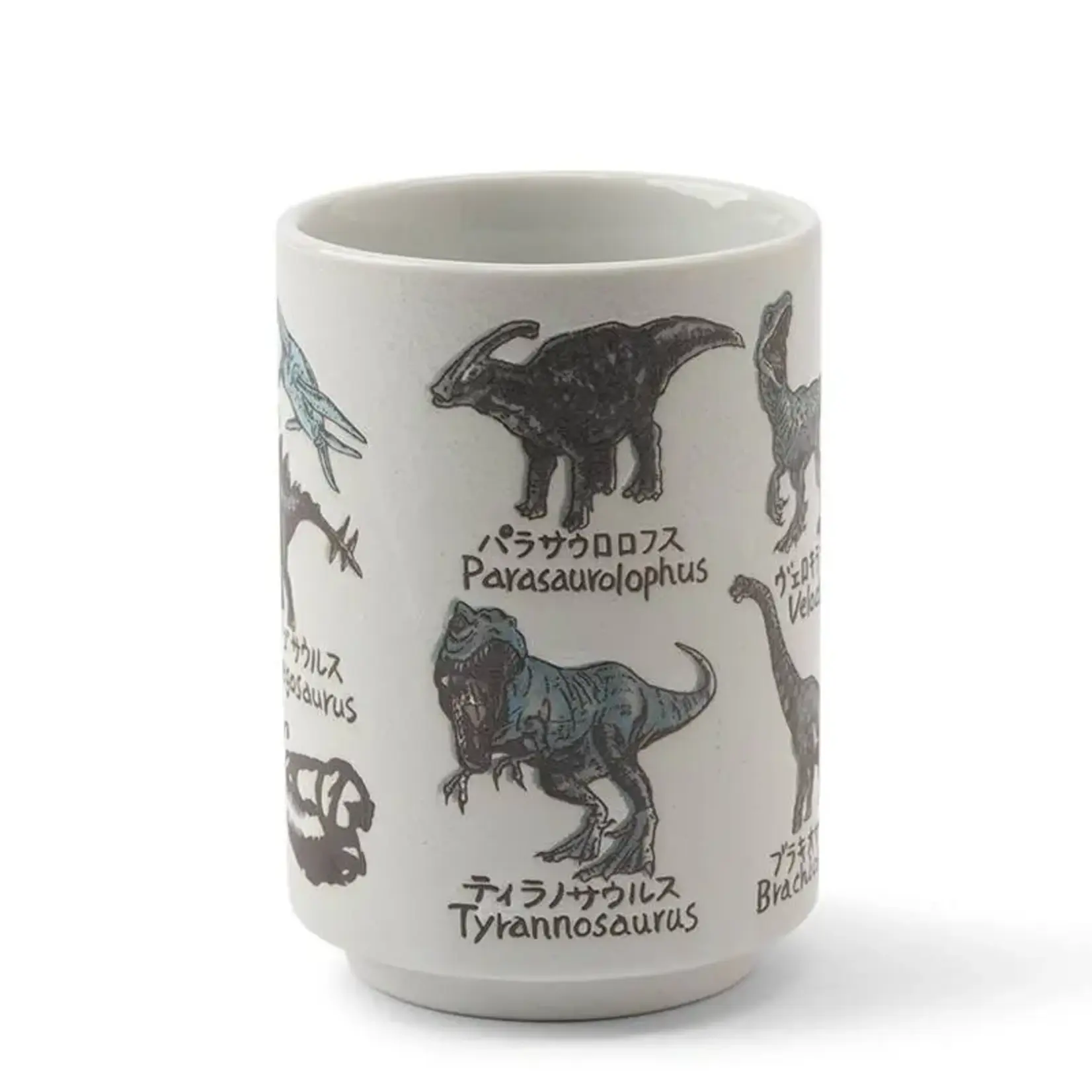 Teacup Dinosaurs 10oz - 114-895