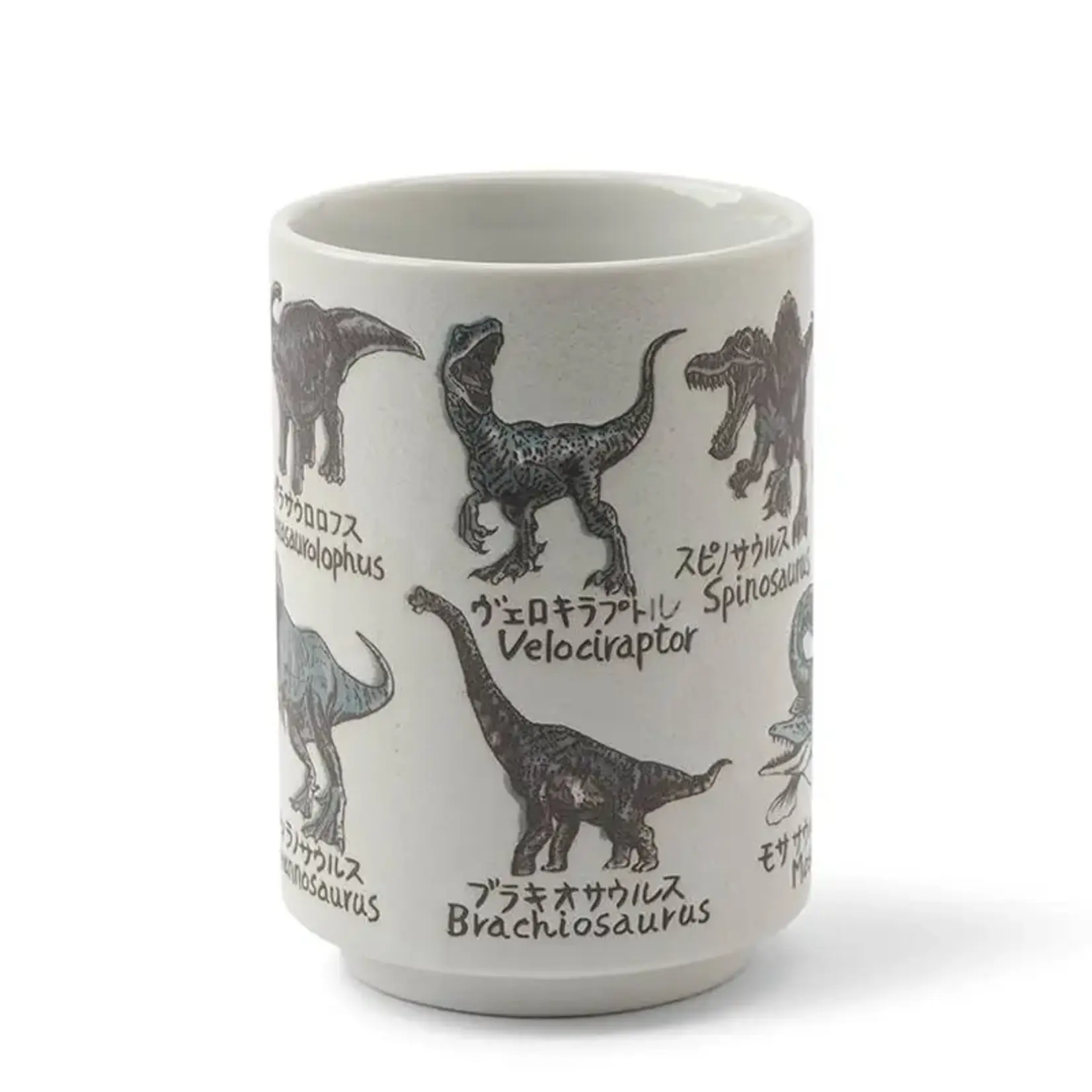 Teacup Dinosaurs 10oz - 114-895