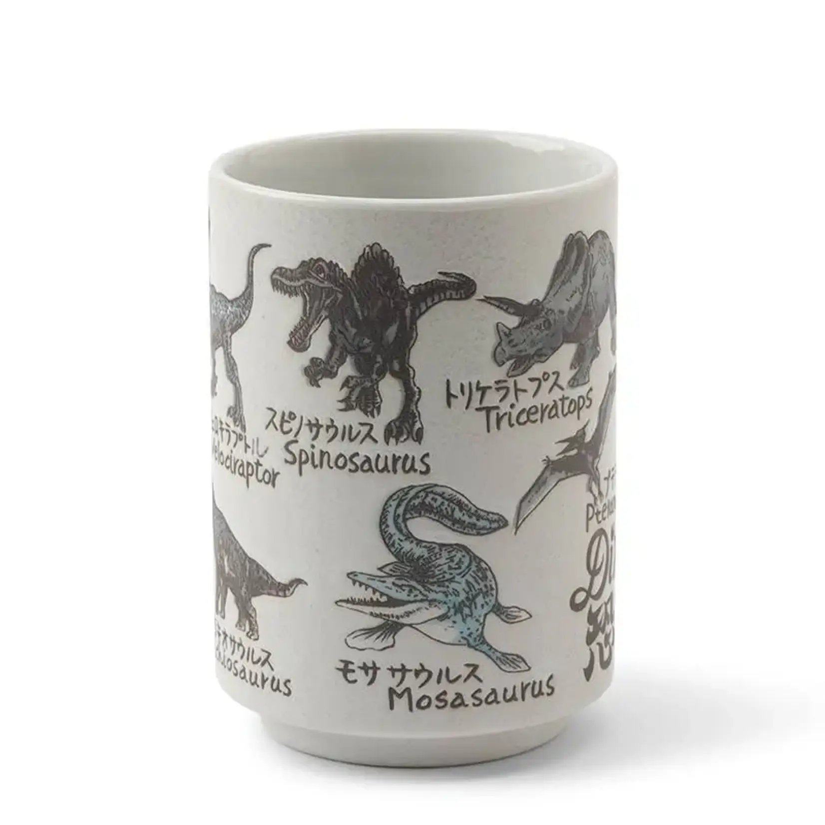 Teacup Dinosaurs 10oz - 114-895
