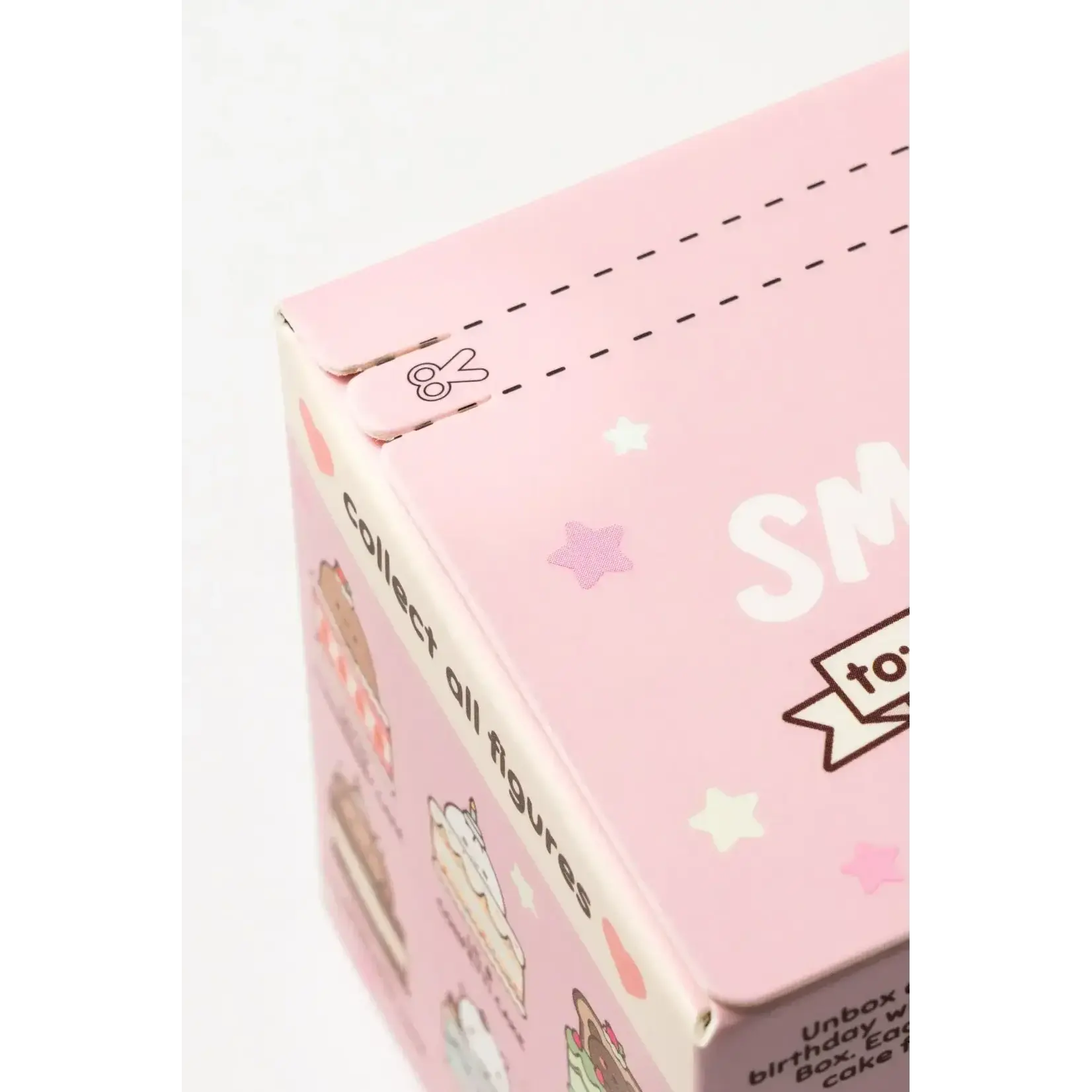 Smoko Blind Box - Friends Birthday Cake - 41056