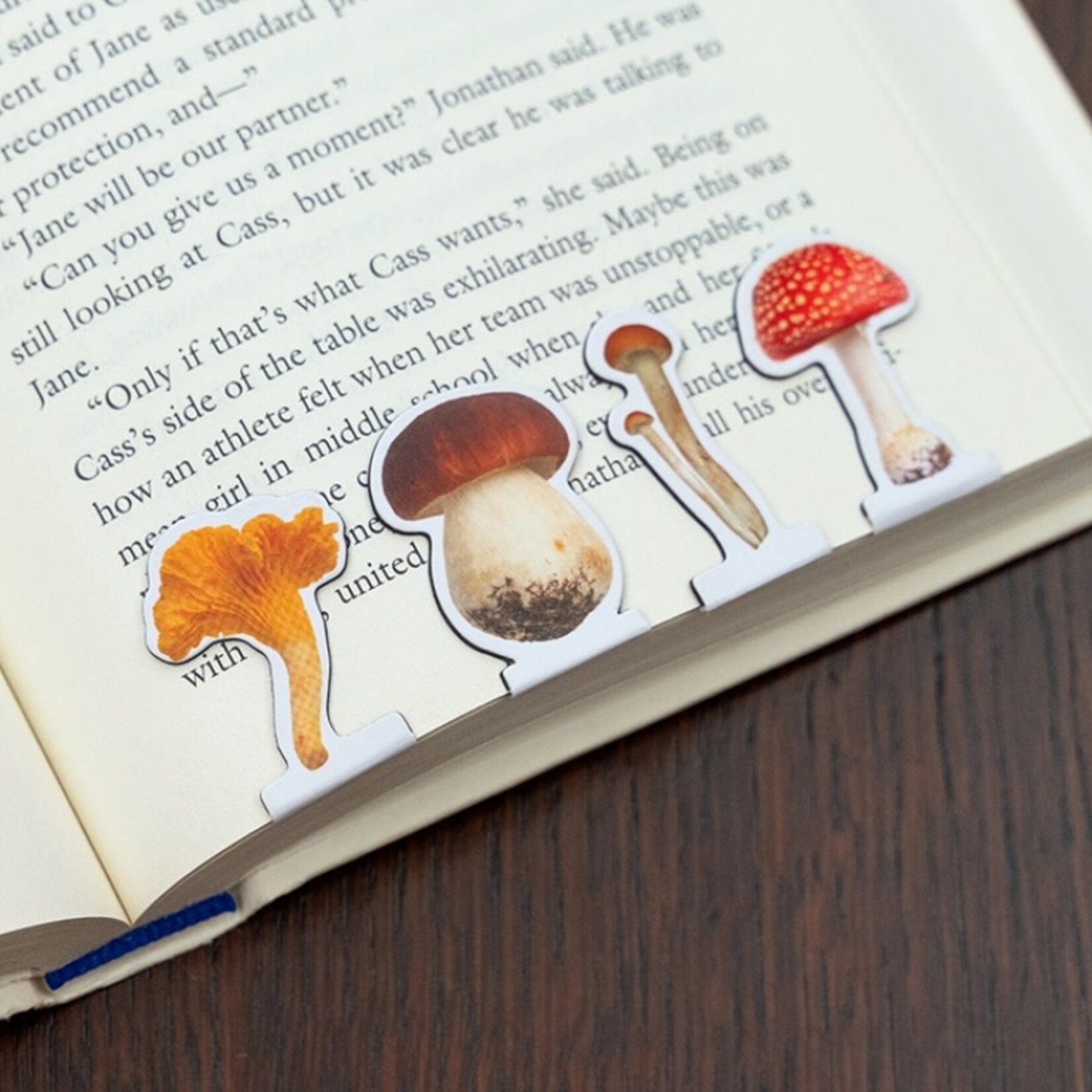 Mushroom Magnetic Bookmarks - ST134