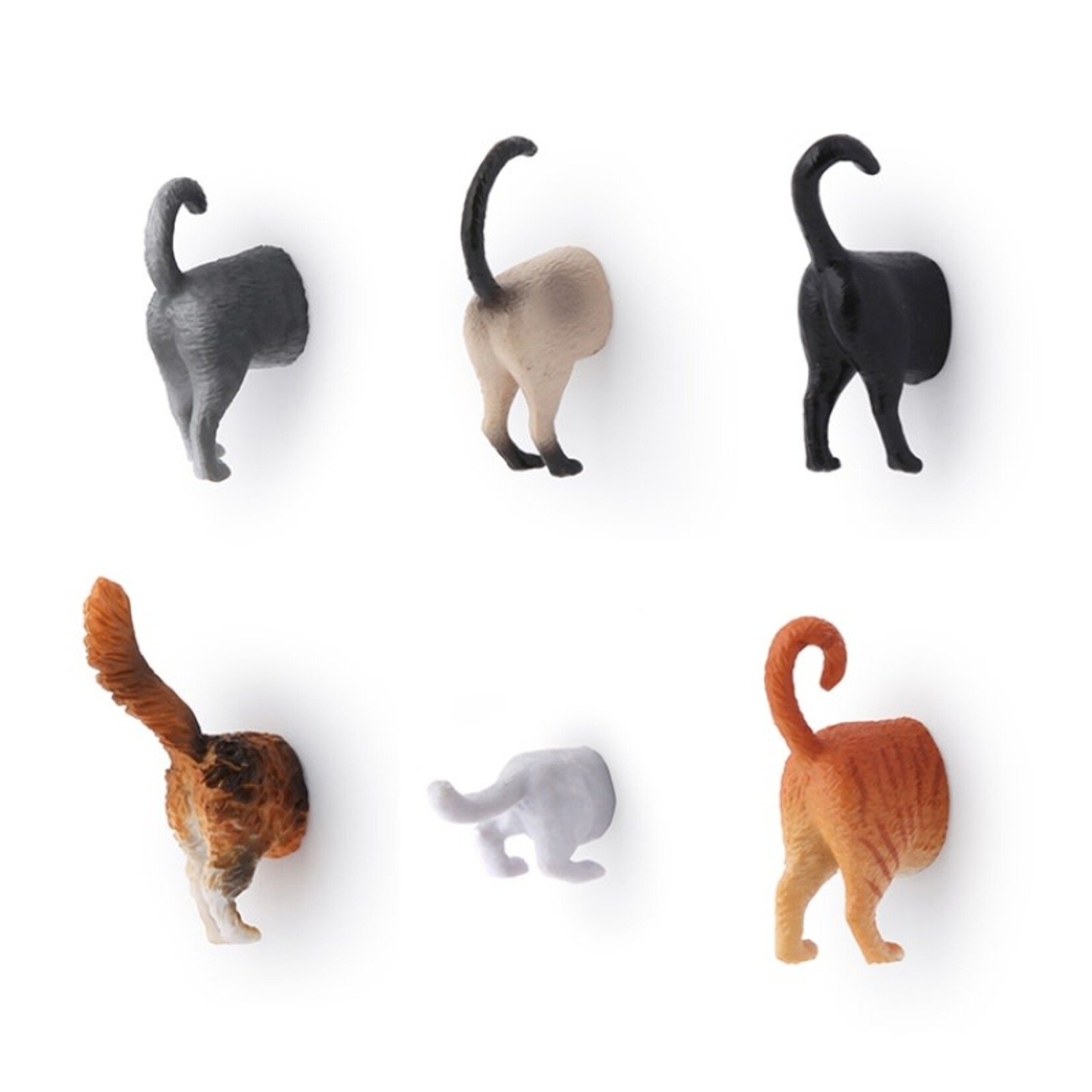 Cat Butt Magnets Set of 6 - MG53