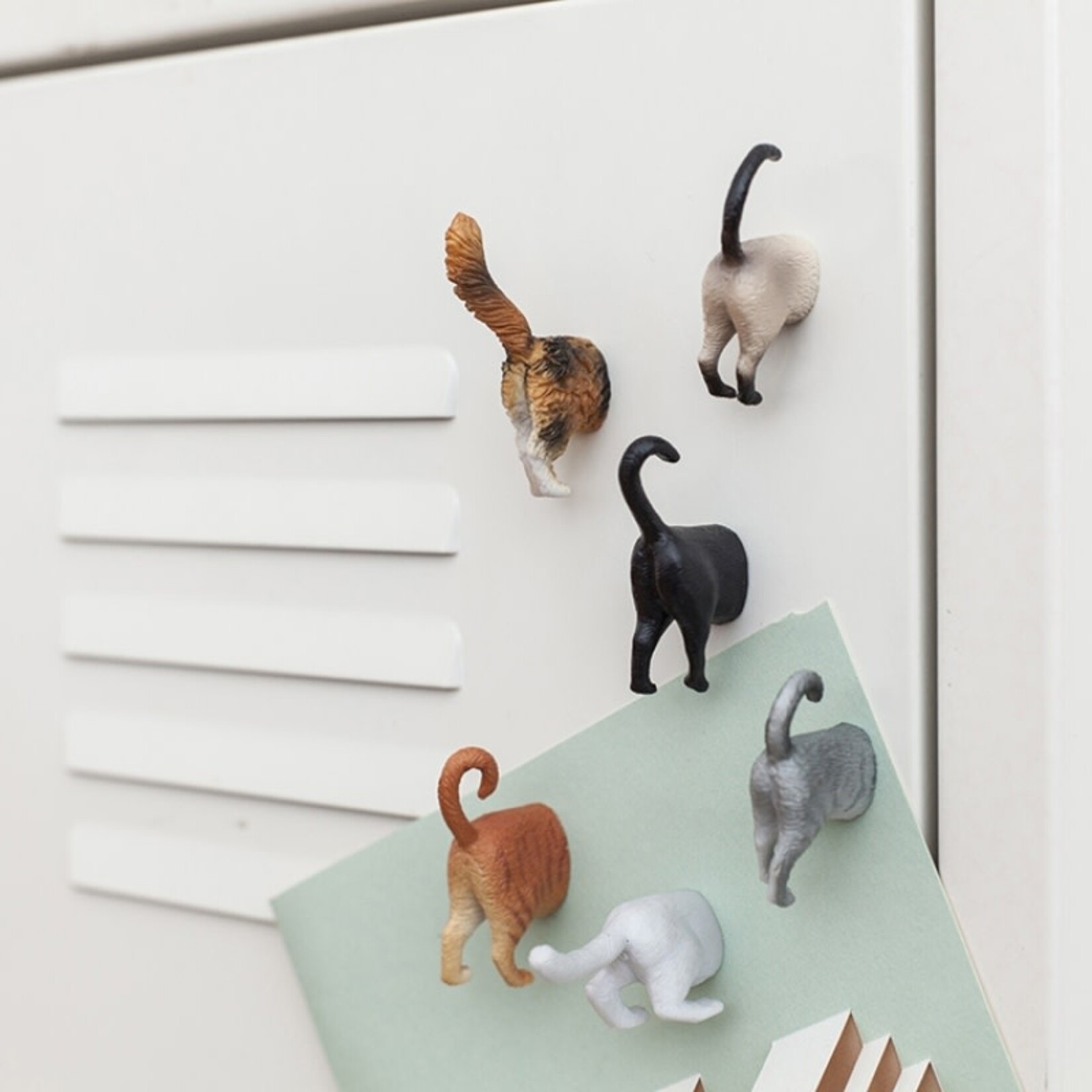 Cat Butt Magnets Set of 6 - MG53