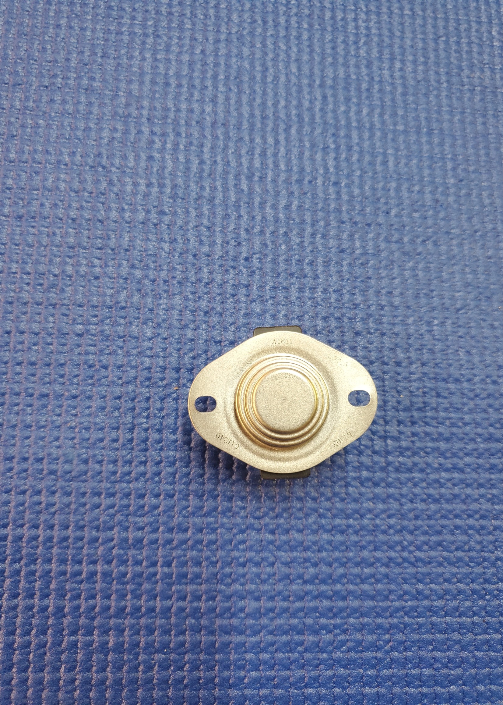 RBI Spectrum Flame Roll-Out Switch 100/250