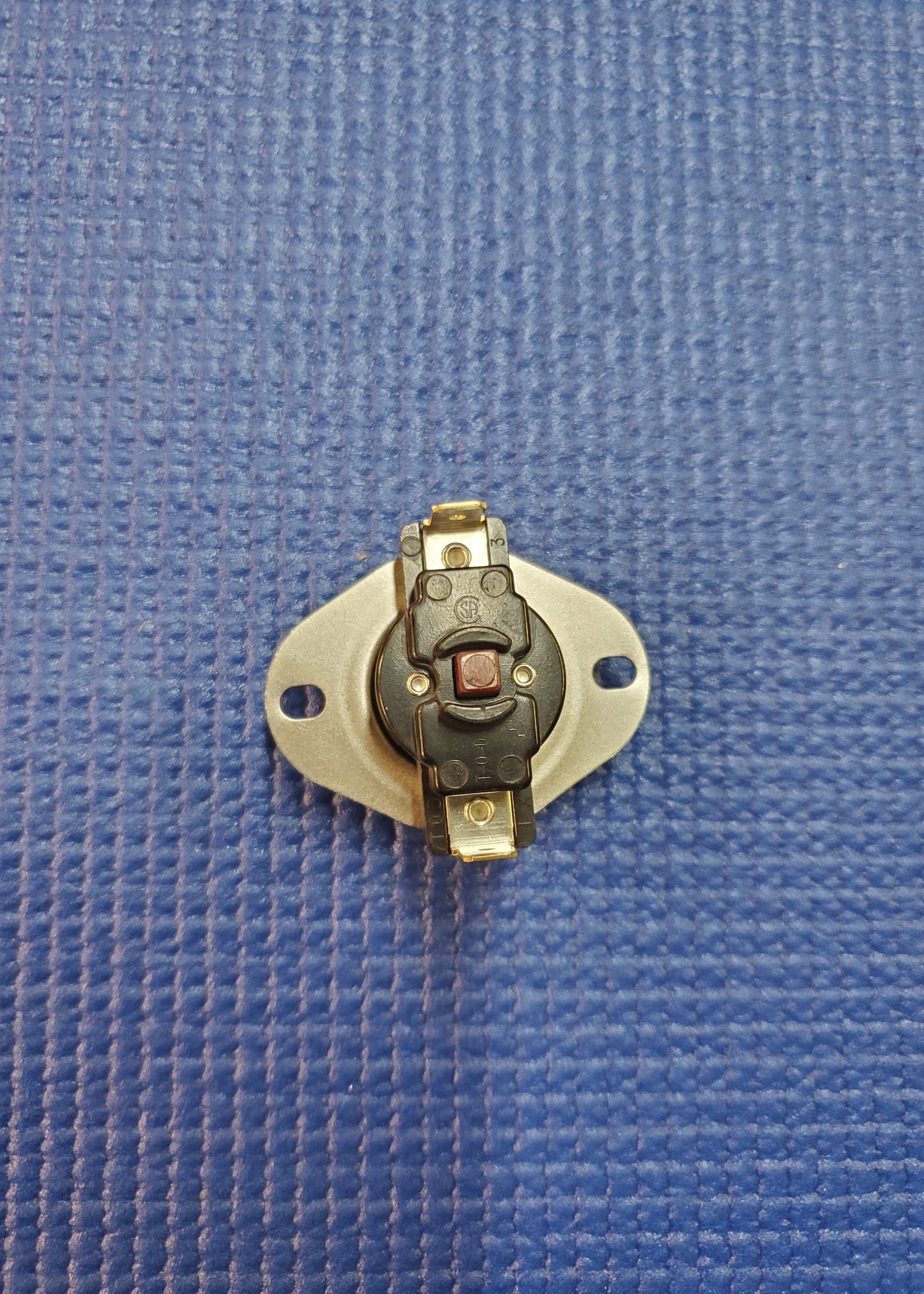 RBI Spectrum Flame Roll-Out Switch 100/250