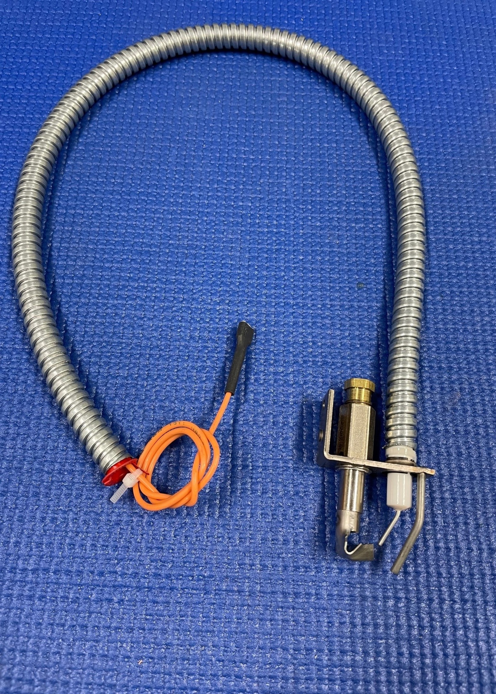 RBI 8800/8900 Series 24V Ignitor NG, PSE-NA29