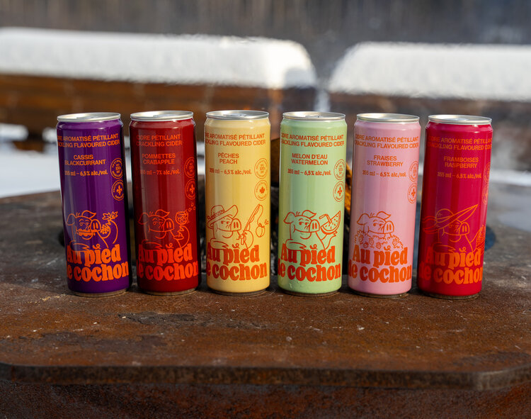 Mixed case of canned cider