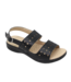 117S12429L