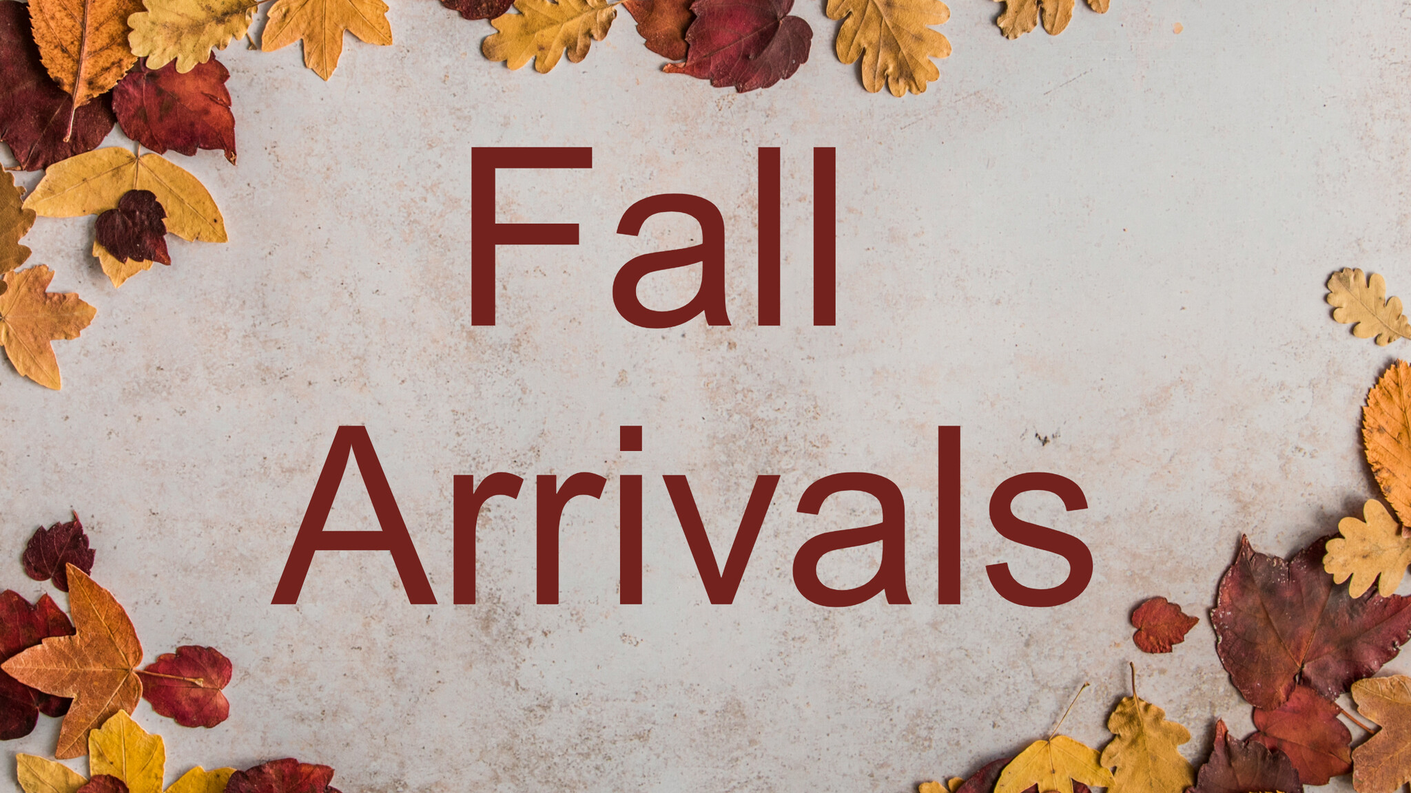  New Arrivals This Week at Shoe Depot 2024 Oct 7