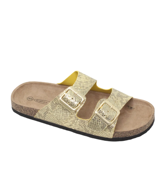 CELINA ANRI 37ENK195L