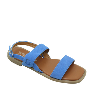 CELINA ANRI 37EHQ2101L