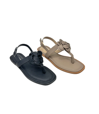 PIERRE DUMAS 104O21426L