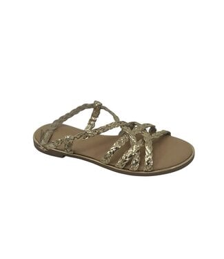 BAMBOO 156JDAZZLE-05L