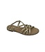 156JDAZZLE-05L