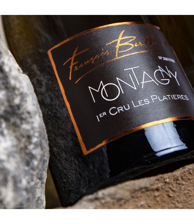 Domaine Berthenet Montagny 1er Cru "Les Platieres" 2020  Côte Chalonnaise - France