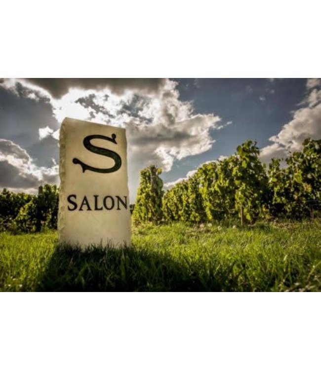 Champagne Salon Blanc de Blancs 2012  Le Mesnil-sur-Oger - Côte des Blancs