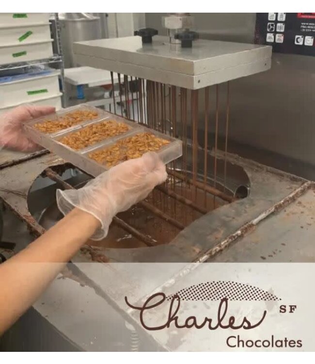 Charles Chocolate Salty Cashew Bar 3.5oz San Francisco