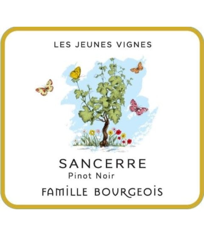Famille Bourgeois Sancerre Rosé "Les Jeunes" 2022 Loire - France