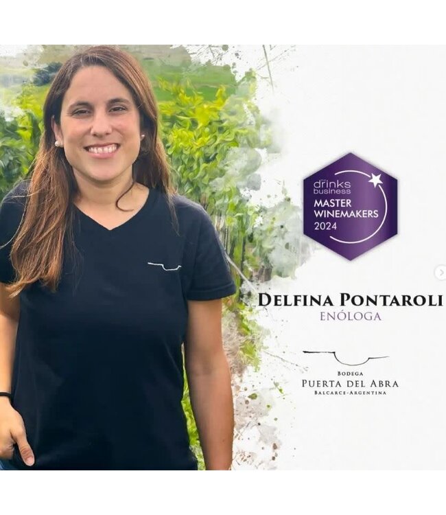 Puerta Del Abra Pinot Noir 2020 Balcarce - Argentina