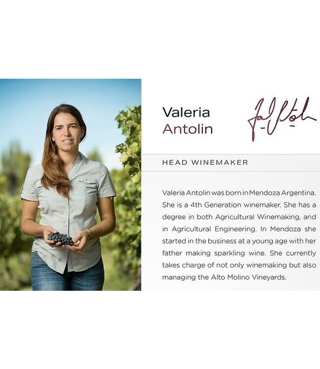 Piattelli Vineyards "Alto Molino" Torrontés 2022 Argentina