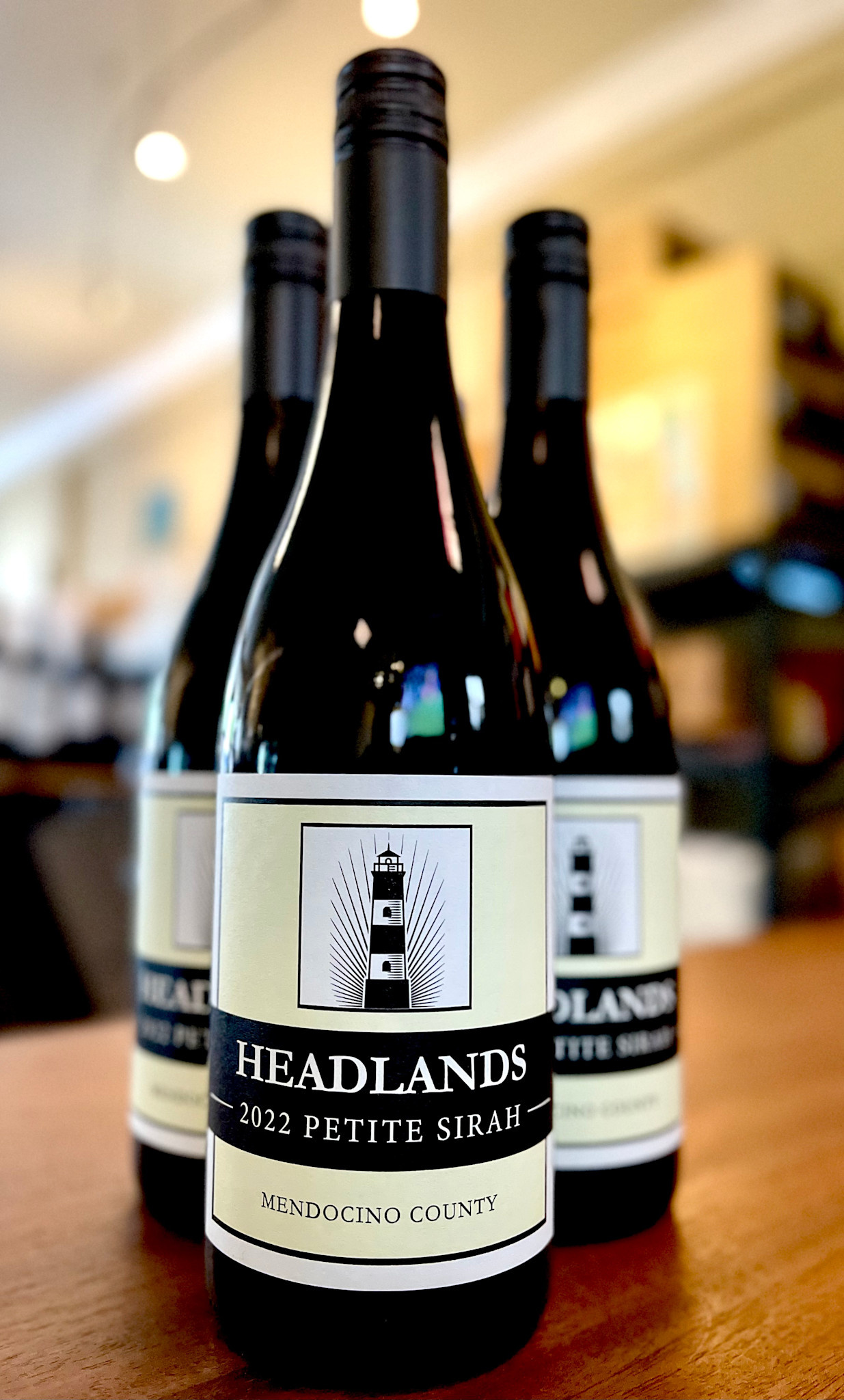 Headlands Petite Sirah 2022 Mendocino County - Cocovino LA