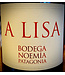 Bodega Noemia A Lisa Malbec 2022 Rio Negro - Patagonia