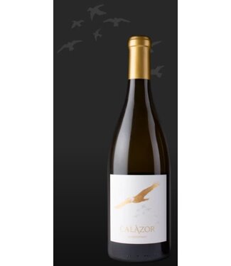 Calazor Chardonnay 2020 Russian River